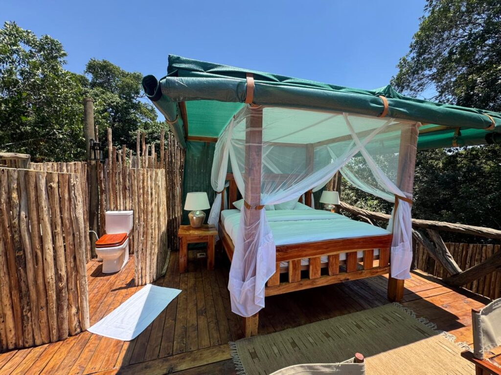 Closeup Pic of Enkakenya Starbed