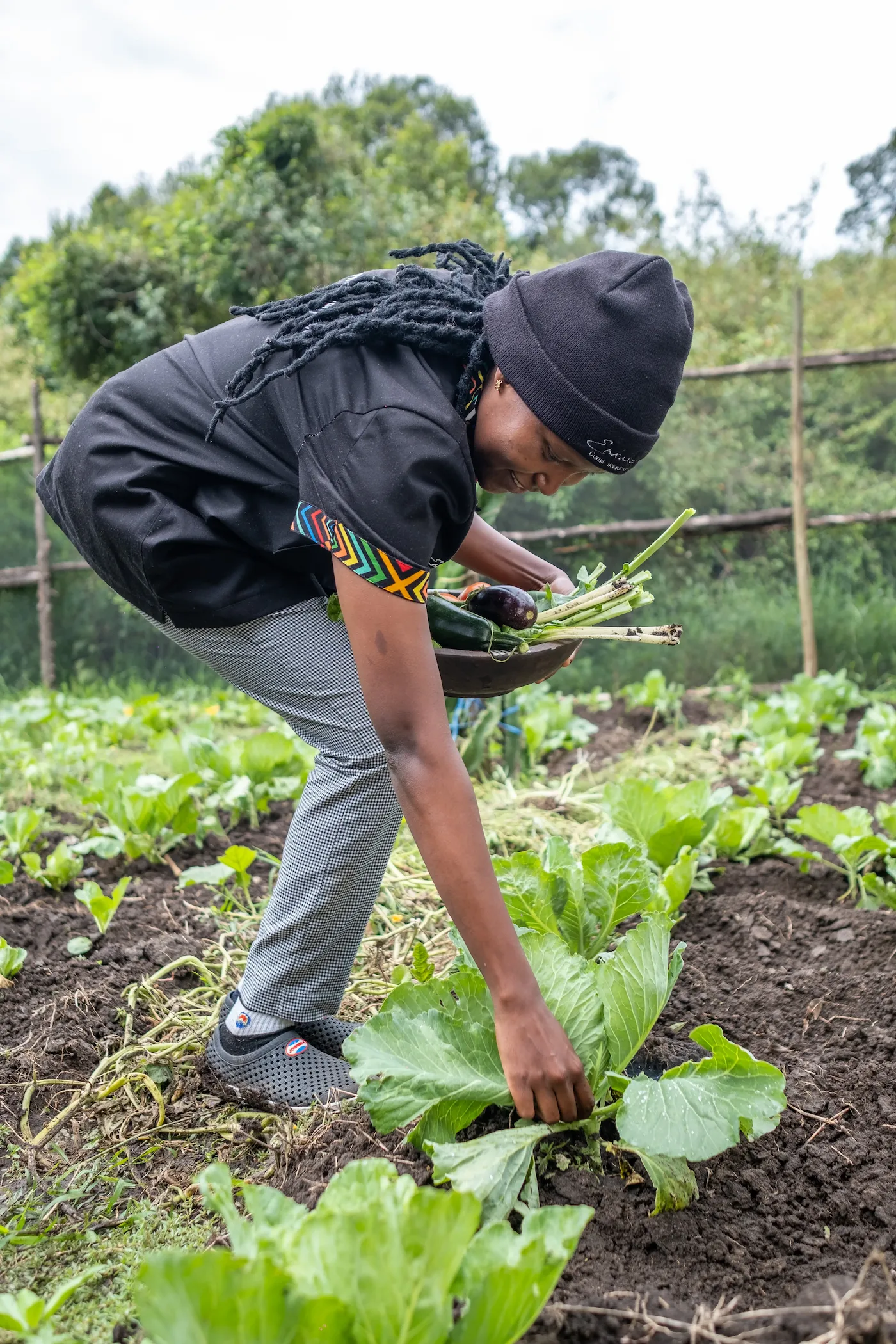 Enkakenya head chef harvesting from the organic garden at dawn