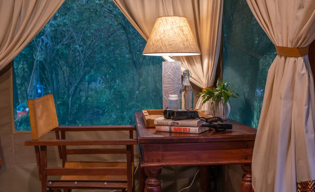 Reading corner at dusk — books, binoculars and a tripod lamp