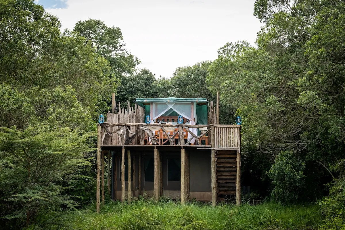 The Starbed structure on timber stilts rising above the Enkakenya riverine forest