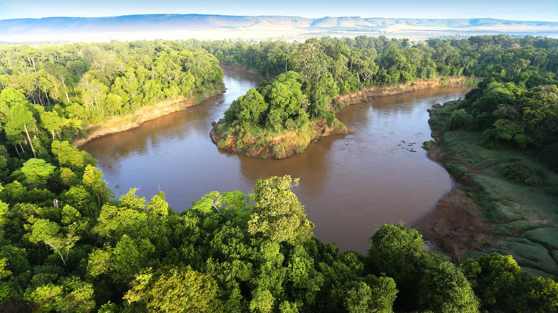 Aerial view of the Masai Mara