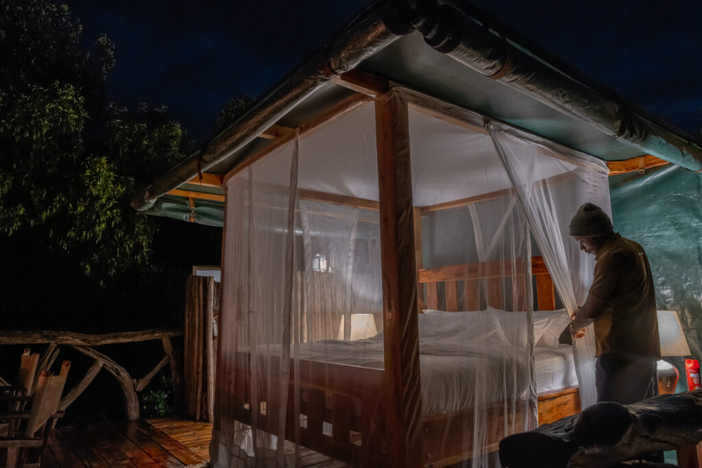 The starbed at night